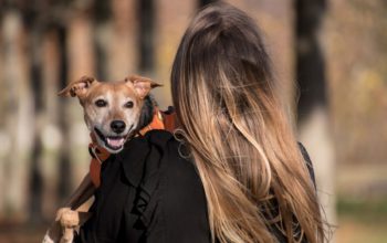 woman carrying dog